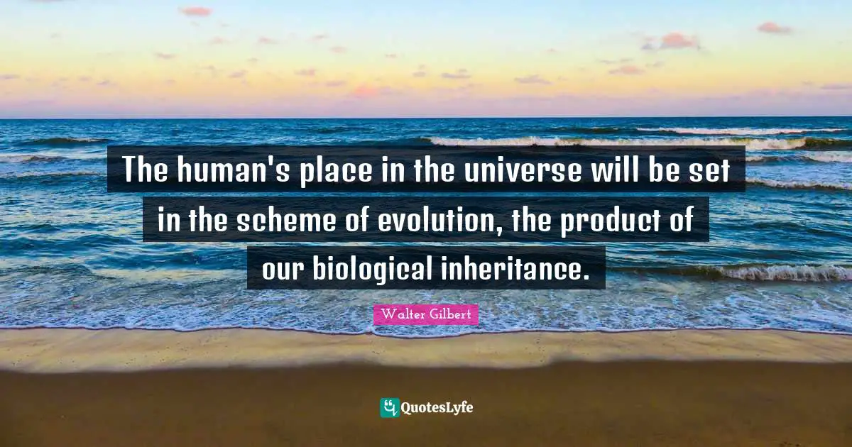 The human's place in the universe will be set in the scheme of evolution, the product of our biological inheritance.