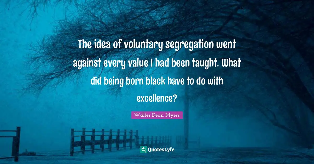 The idea of voluntary segregation went against every value I had been taught. What did being born black have to do with excellence?