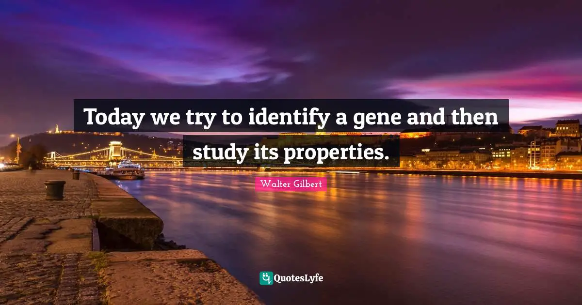 Today we try to identify a gene and then study its properties.