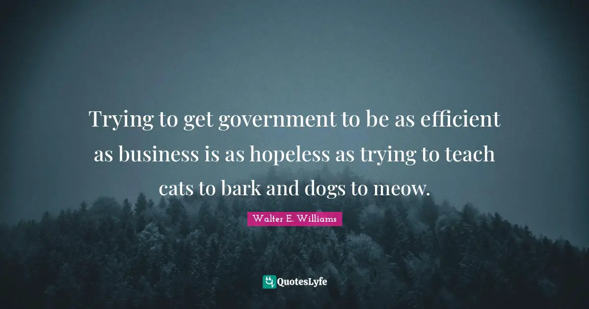 Trying to get government to be as efficient as business is as hopeless as trying to teach cats to bark and dogs to meow.