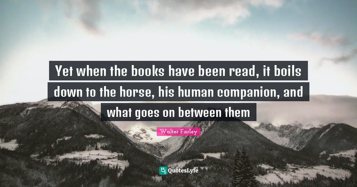 Yet when the books have been read, it boils down to the horse, his human companion, and what goes on between them