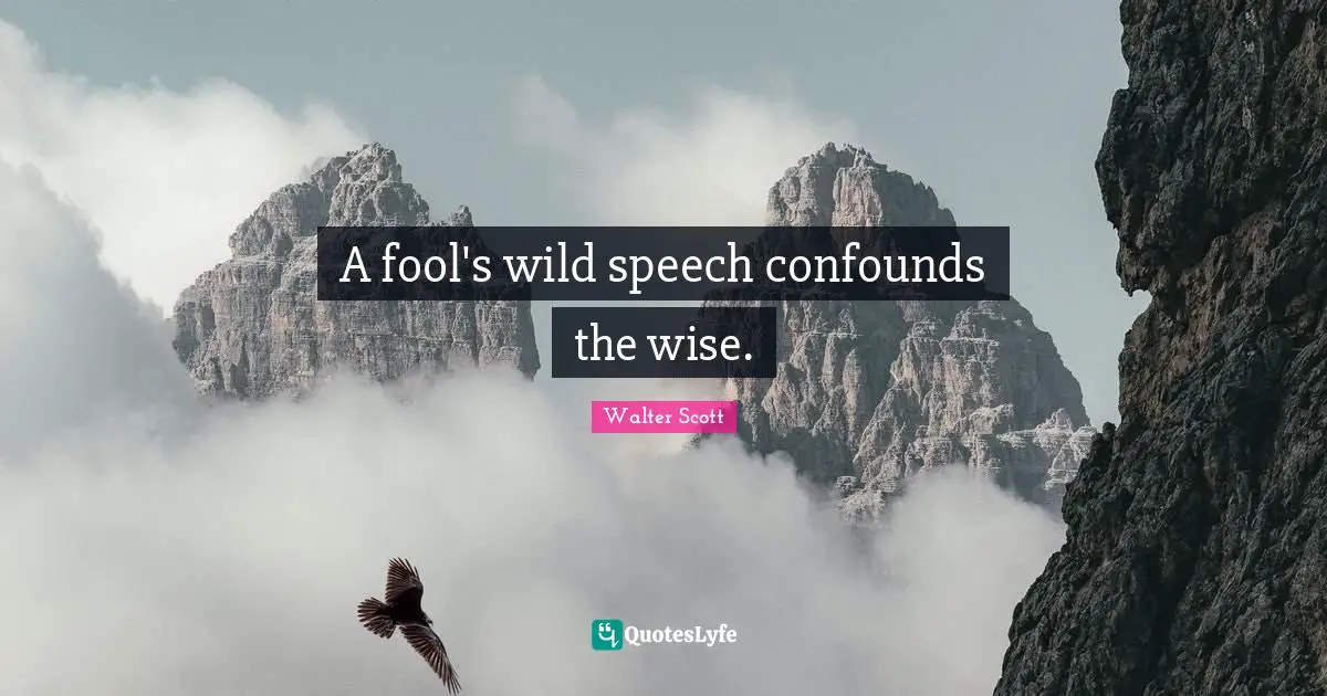 A fool's wild speech confounds the wise.