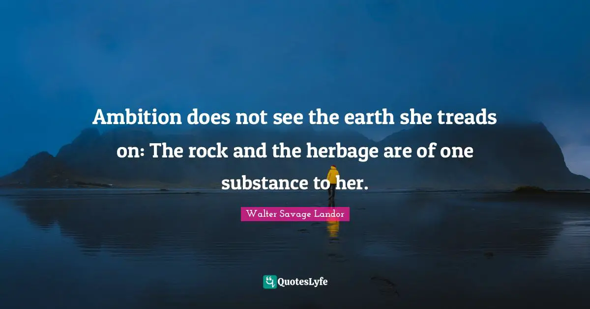 Ambition does not see the earth she treads on: The rock and the herbage are of one substance to her.
