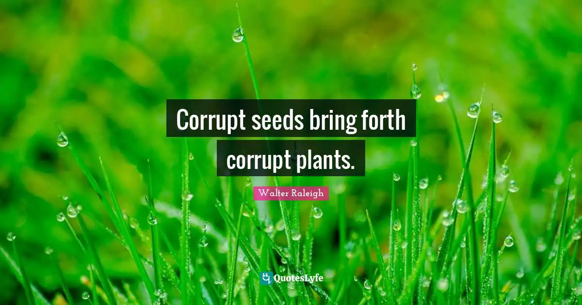 Corrupt seeds bring forth corrupt plants.