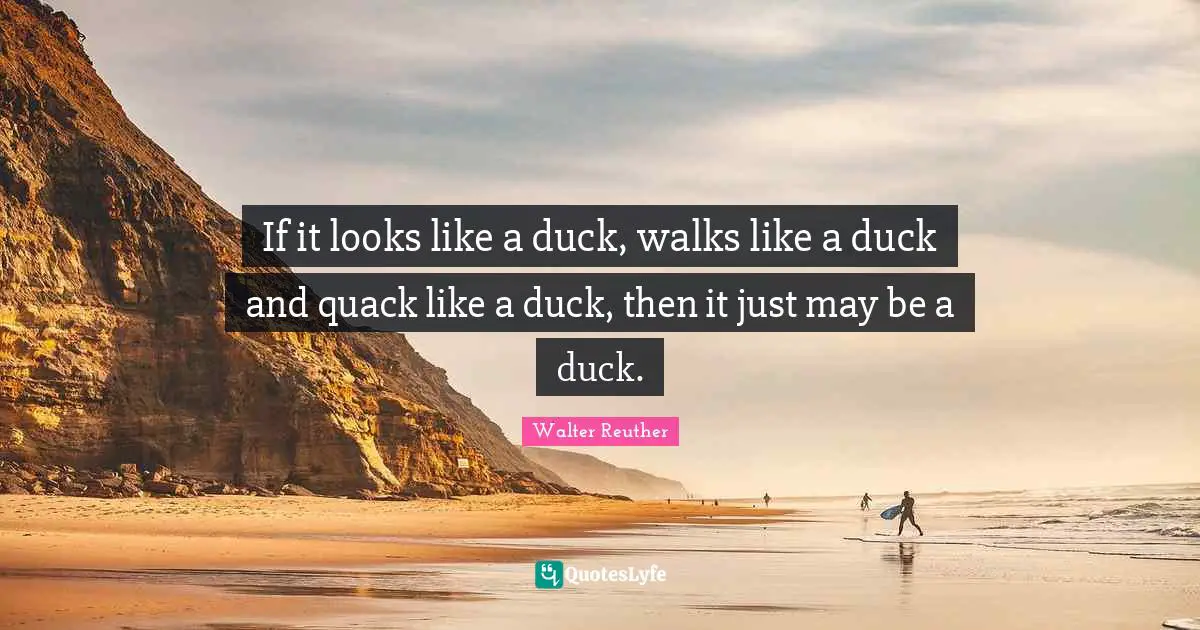 Walter Reuther Quotes: If it looks like a duck, walks like a duck and quack like a duck, then it just may be a duck.