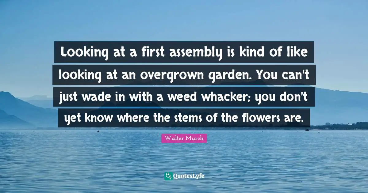 Assembly Quotes: "Looking at a first assembly is kind of like looking at an overgrown garden. You can't just wade in with a weed whacker; you don't yet know where the stems of the flowers are."