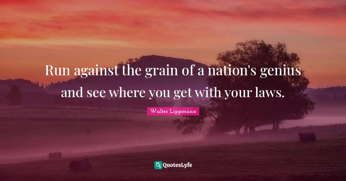 Run against the grain of a nation's genius and see where you get with your laws.