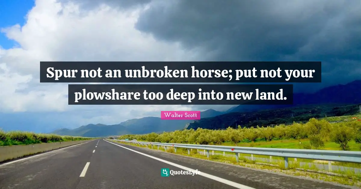 Spur not an unbroken horse; put not your plowshare too deep into new land.