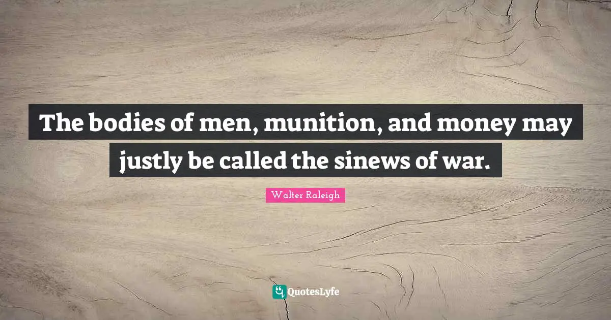 The bodies of men, munition, and money may justly be called the sinews of war.