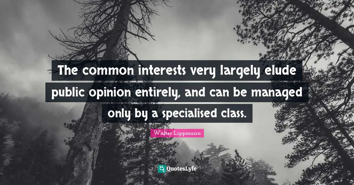 The common interests very largely elude public opinion entirely, and can be managed only by a specialised class.