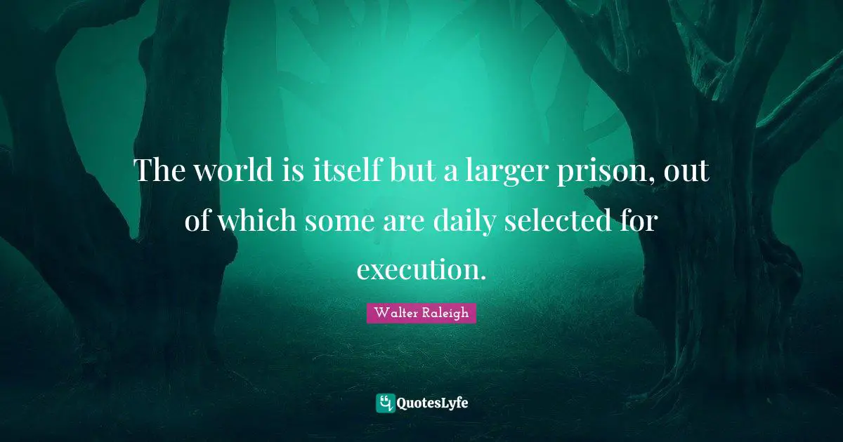 The world is itself but a larger prison, out of which some are daily selected for execution.