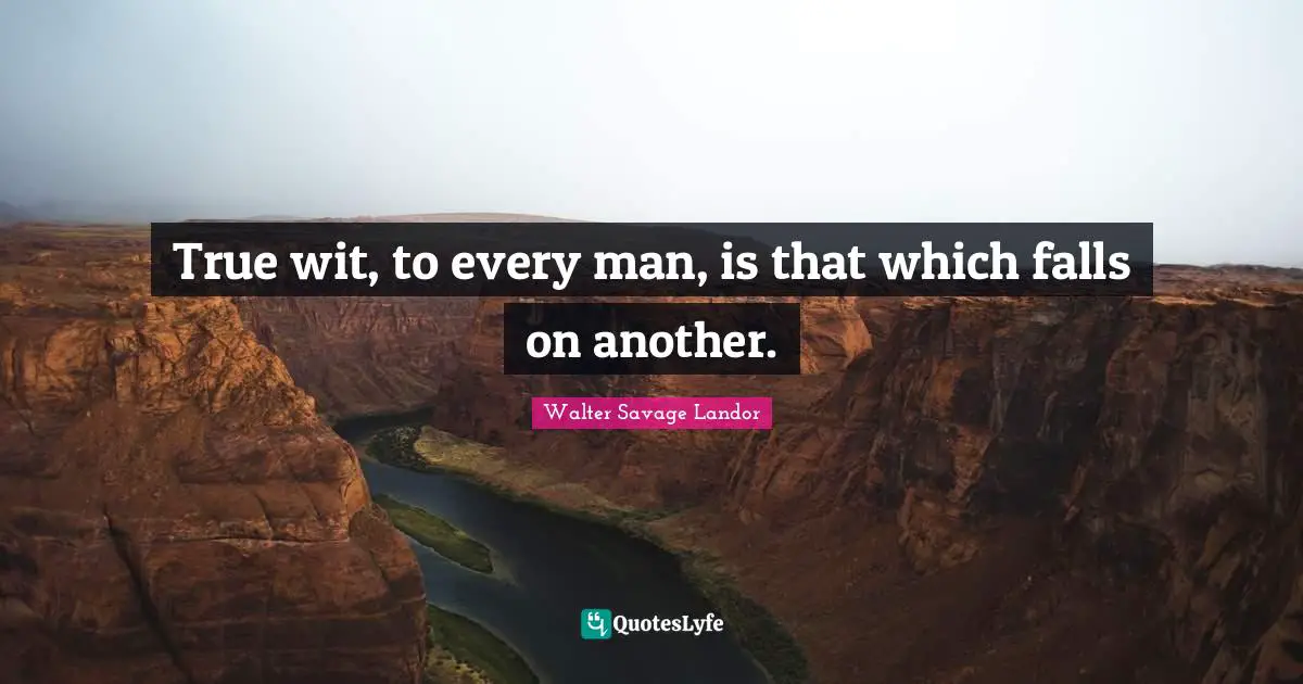 True wit, to every man, is that which falls on another.