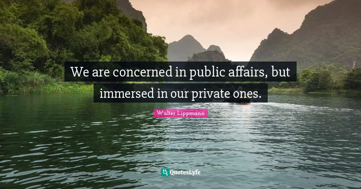 We are concerned in public affairs, but immersed in our private ones.