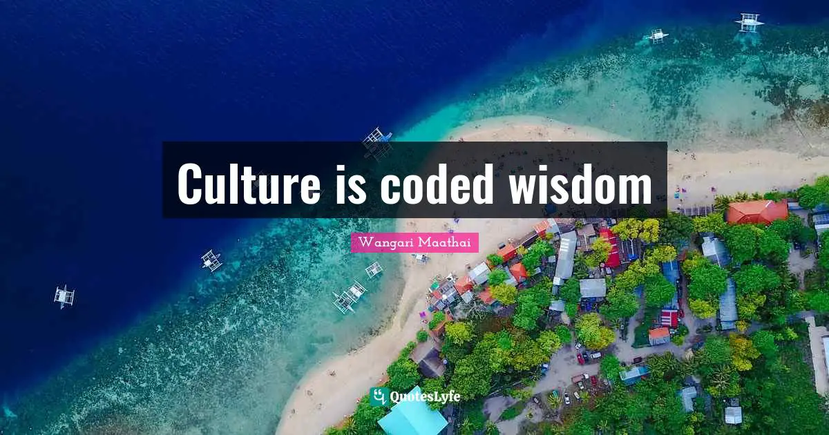 Culture is coded wisdom