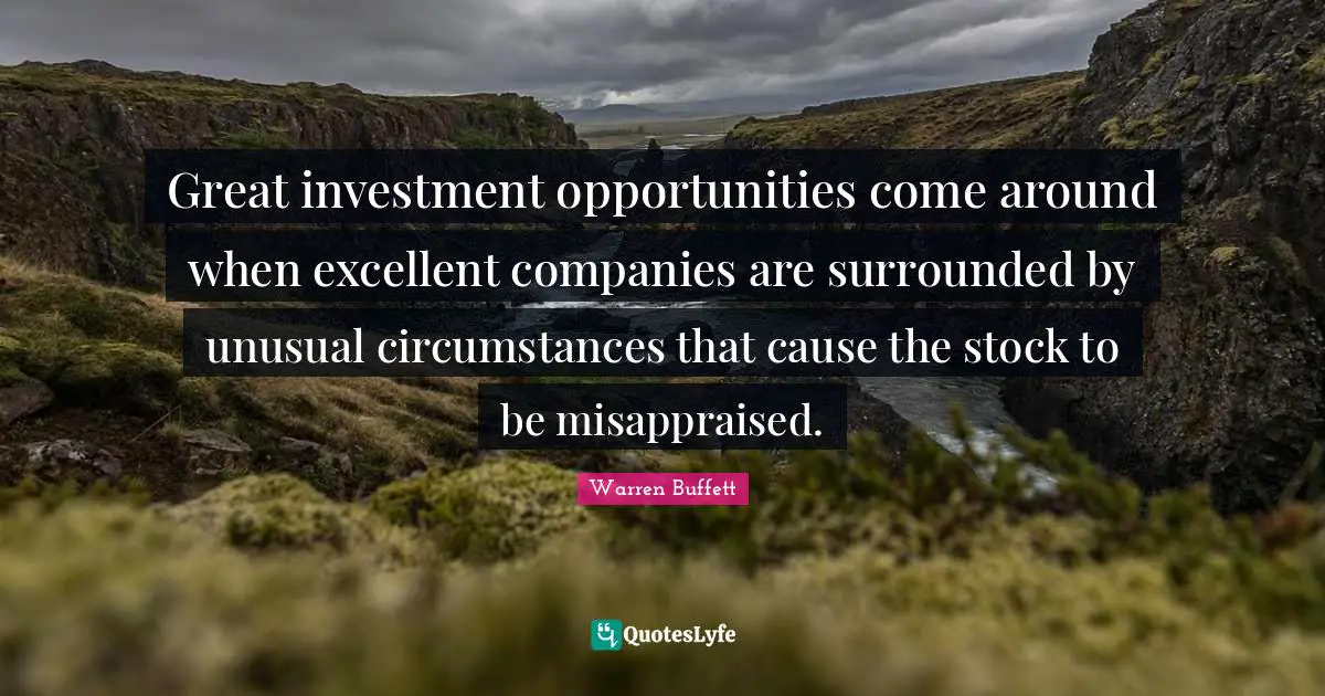Great investment opportunities come around when excellent companies are surrounded by unusual circumstances that cause the stock to be misappraised.