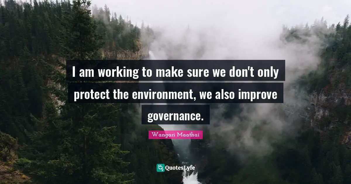 I am working to make sure we don't only protect the environment, we also improve governance.