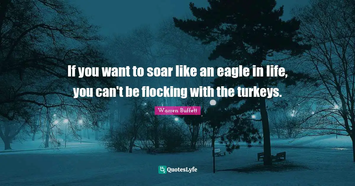 Turkeys Quotes: "If you want to soar like an eagle in life, you can't be flocking with the turkeys."