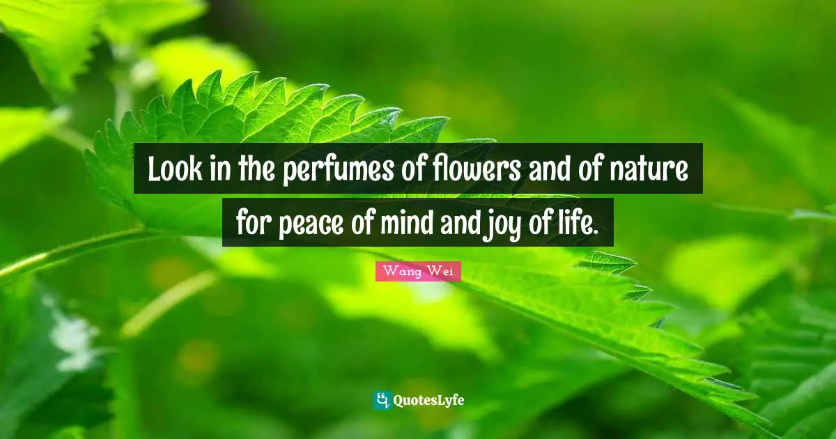 Look in the perfumes of flowers and of nature for peace of mind and joy of life.