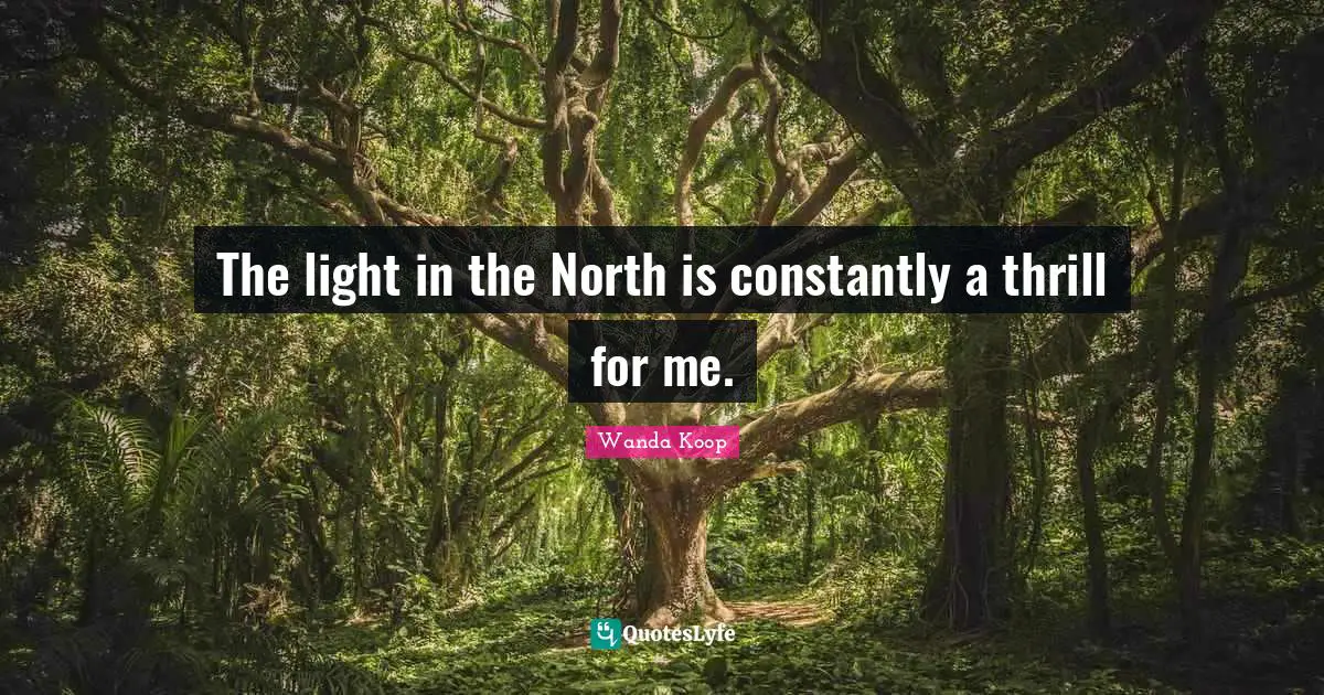 The light in the North is constantly a thrill for me.