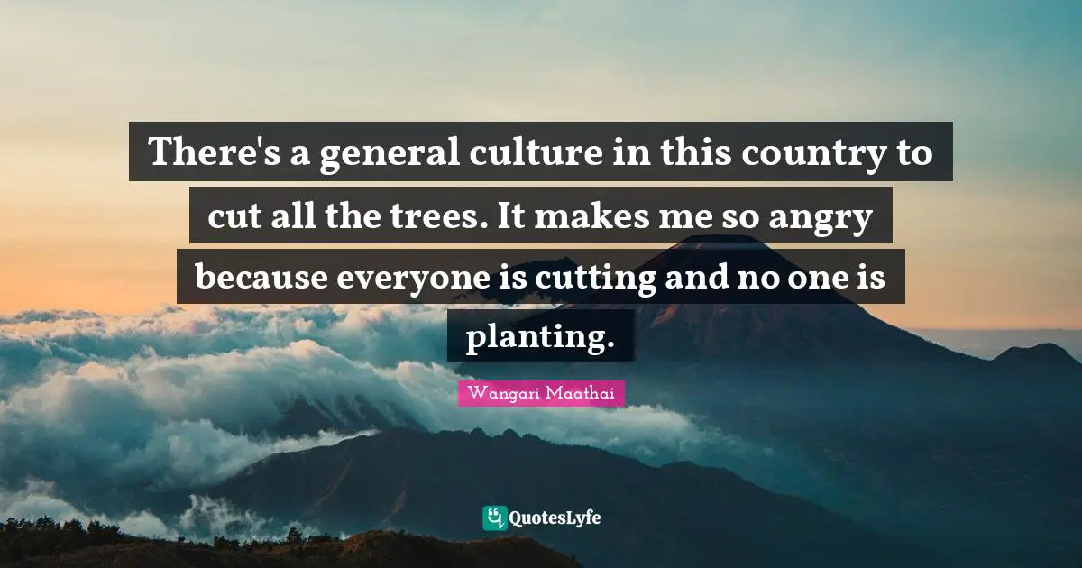 There's a general culture in this country to cut all the trees. It makes me so angry because everyone is cutting and no one is planting.