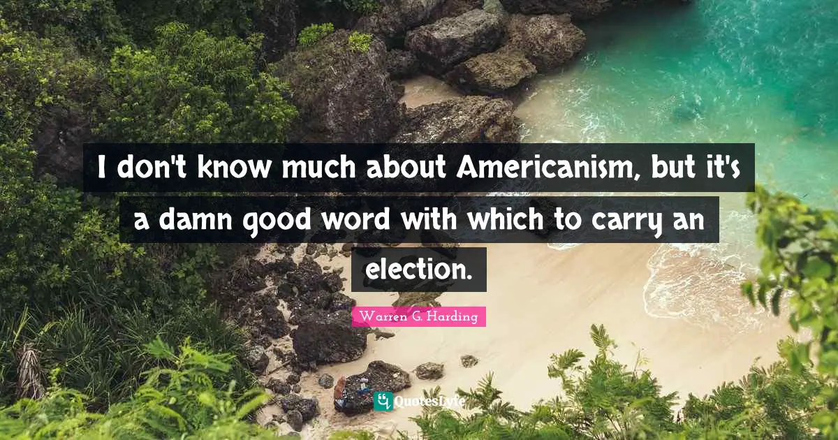 Election Quotes: "I don't know much about Americanism, but it's a damn good word with which to carry an election."