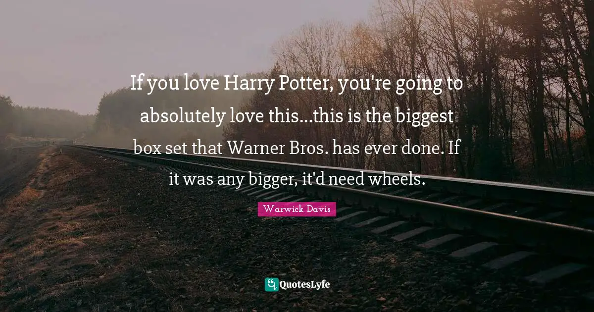 If you love Harry Potter, you're going to absolutely love this...this is the biggest box set that Warner Bros. has ever done. If it was any bigger, it'd need wheels.