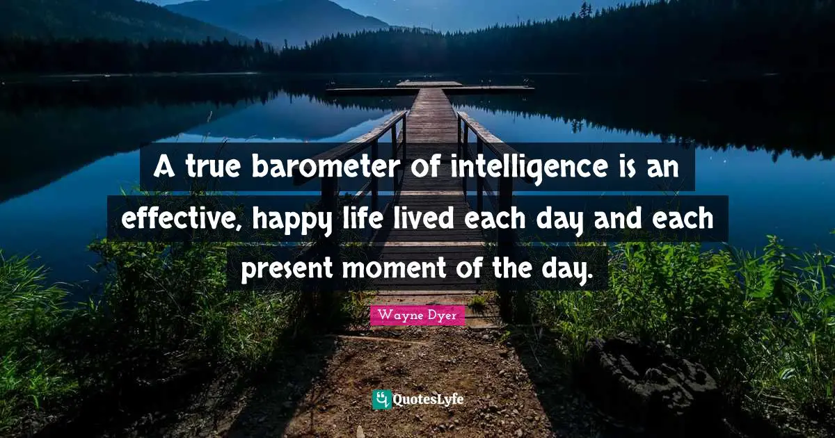 A true barometer of intelligence is an effective, happy life lived each day and each present moment of the day.