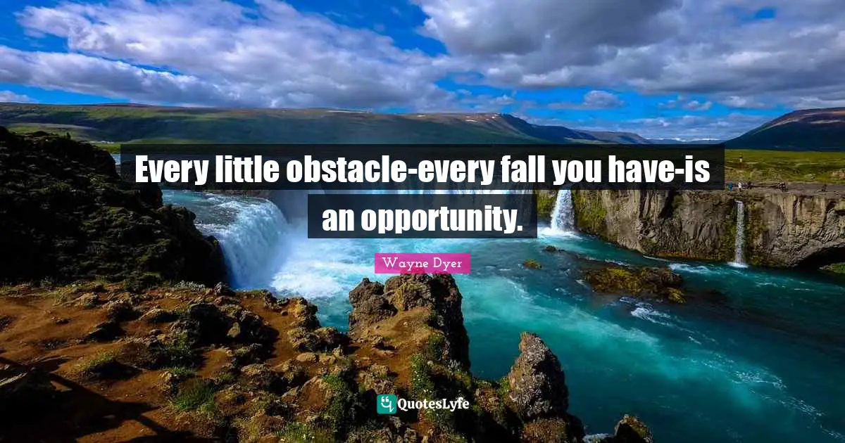 Every little obstacle-every fall you have-is an opportunity.