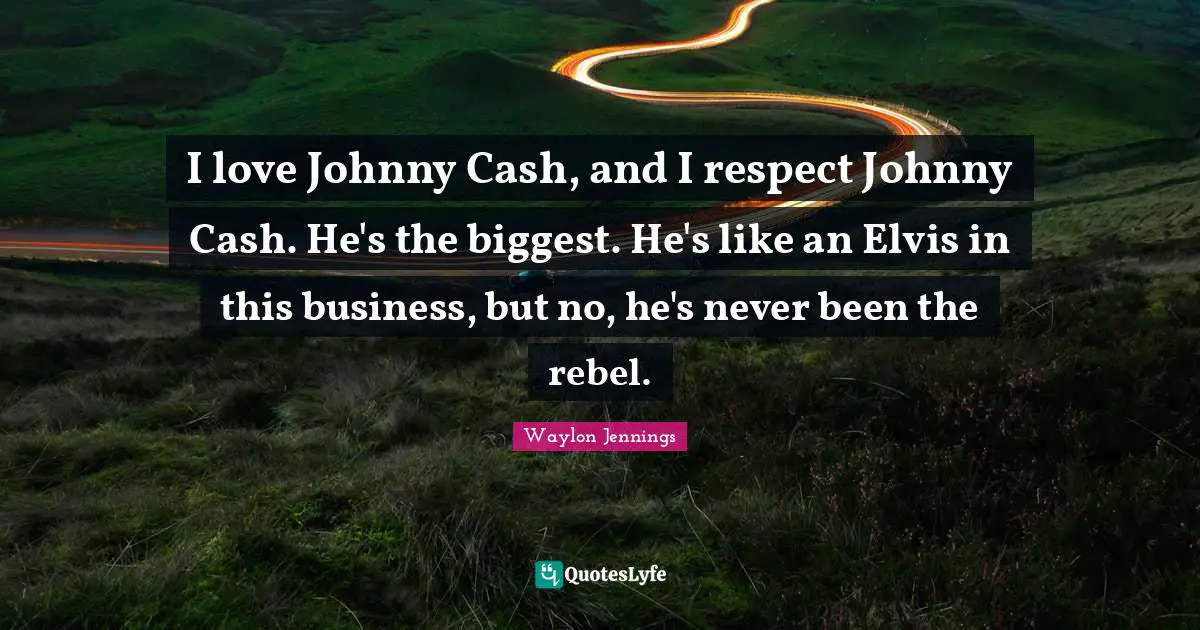 I love Johnny Cash, and I respect Johnny Cash. He's the biggest. He's like an Elvis in this business, but no, he's never been the rebel.