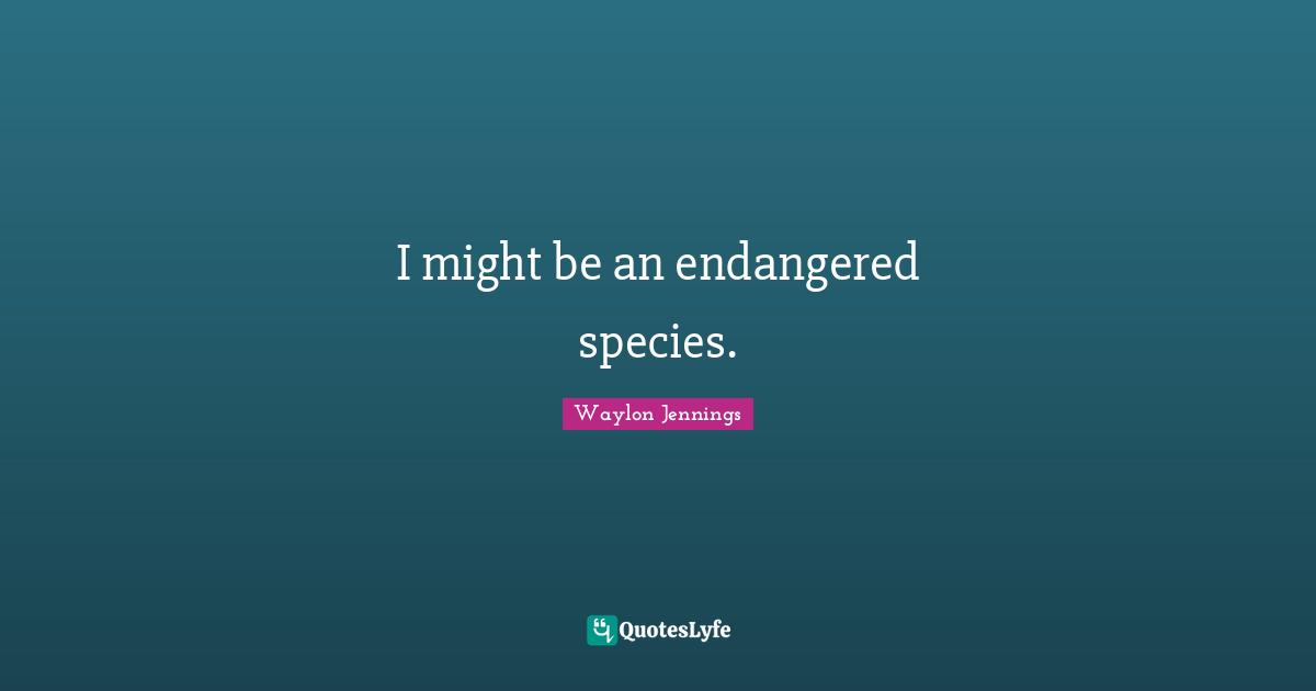 I might be an endangered species.