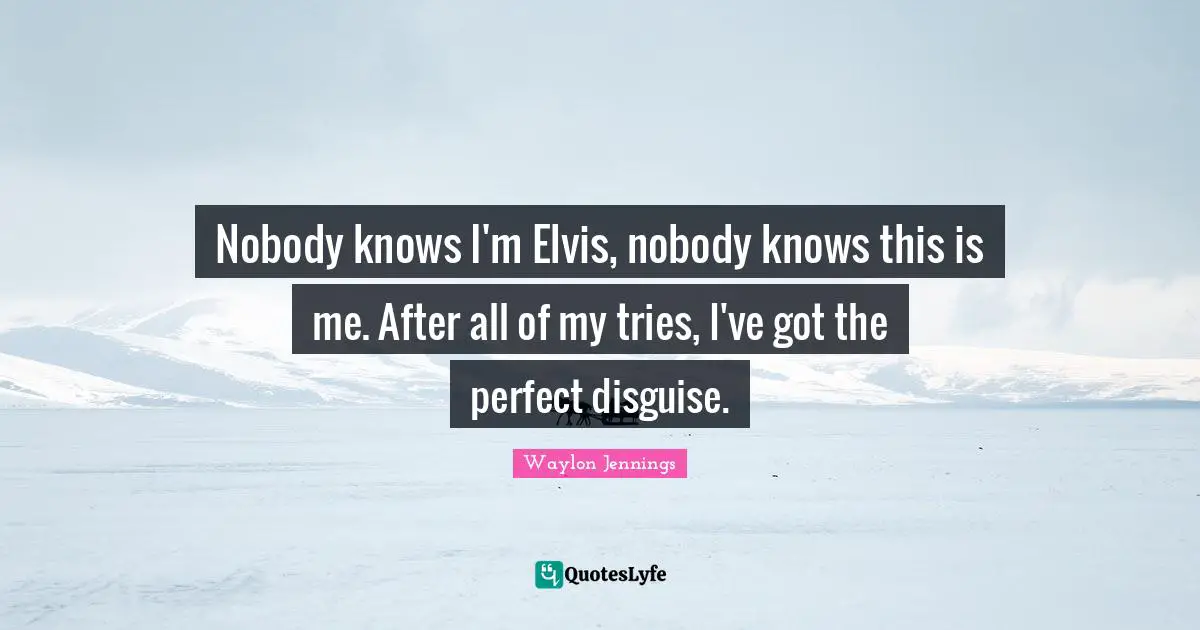 Nobody knows I'm Elvis, nobody knows this is me. After all of my tries, I've got the perfect disguise.