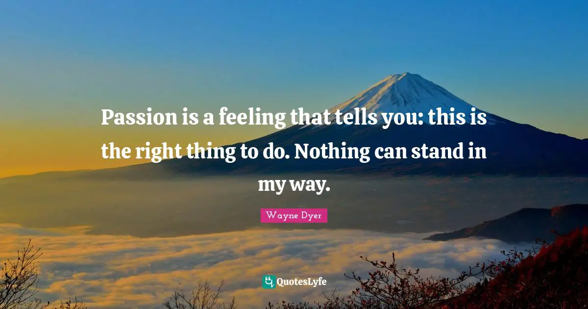 Passion is a feeling that tells you: this is the right thing to do. Nothing can stand in my way.