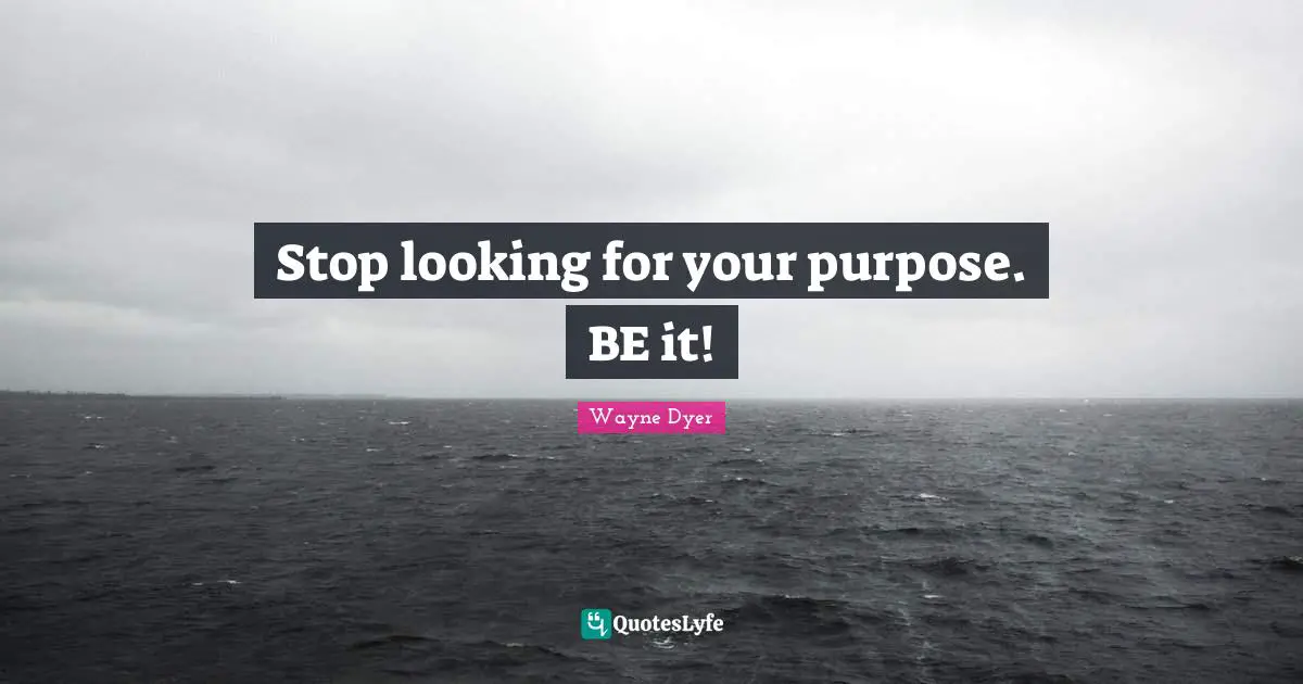 Stop looking for your purpose. BE it!