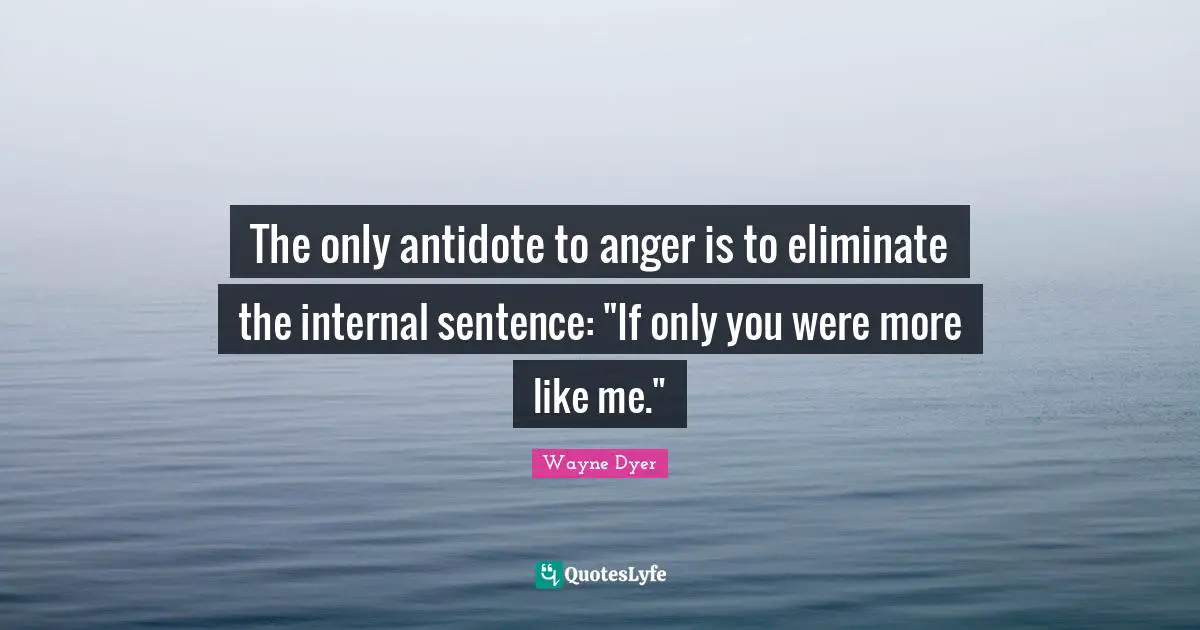 The only antidote to anger is to eliminate the internal sentence: "If only you were more like me."