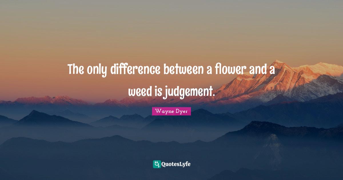 The only difference between a flower and a weed is judgement.... Quote