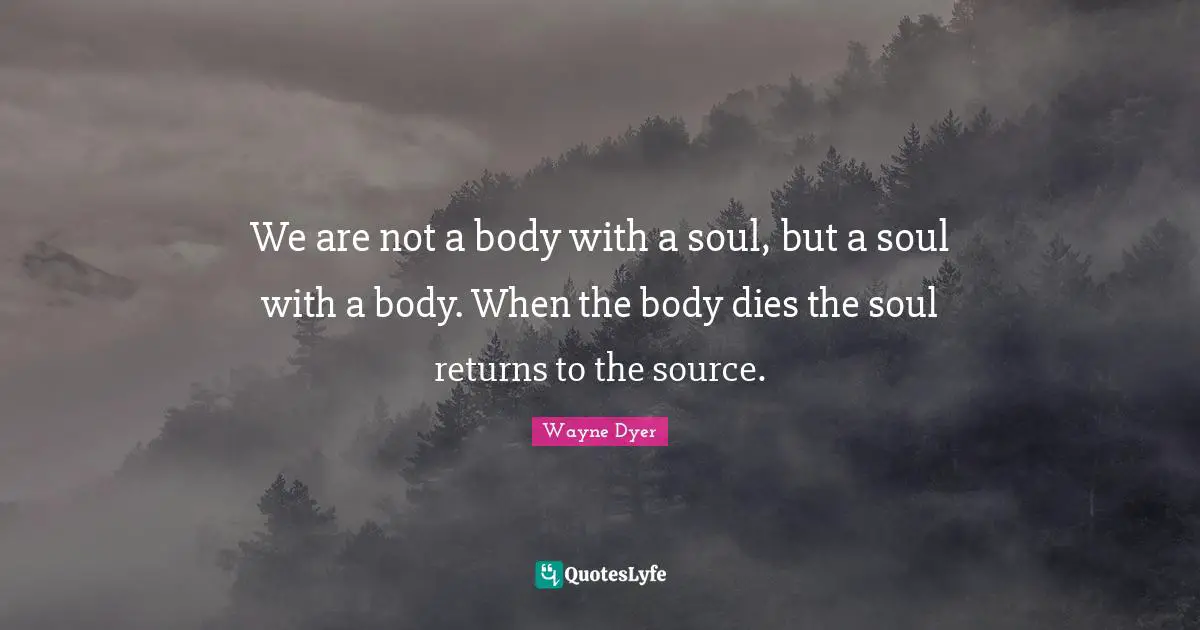 We are not a body with a soul, but a soul with a body. When the body dies the soul returns to the source.