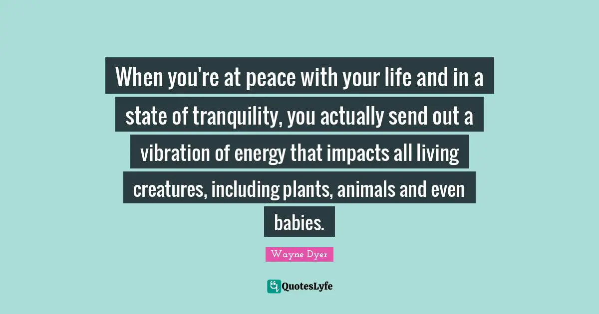 When you're at peace with your life and in a state of tranquility, you actually send out a vibration of energy that impacts all living creatures, including plants, animals and even babies.