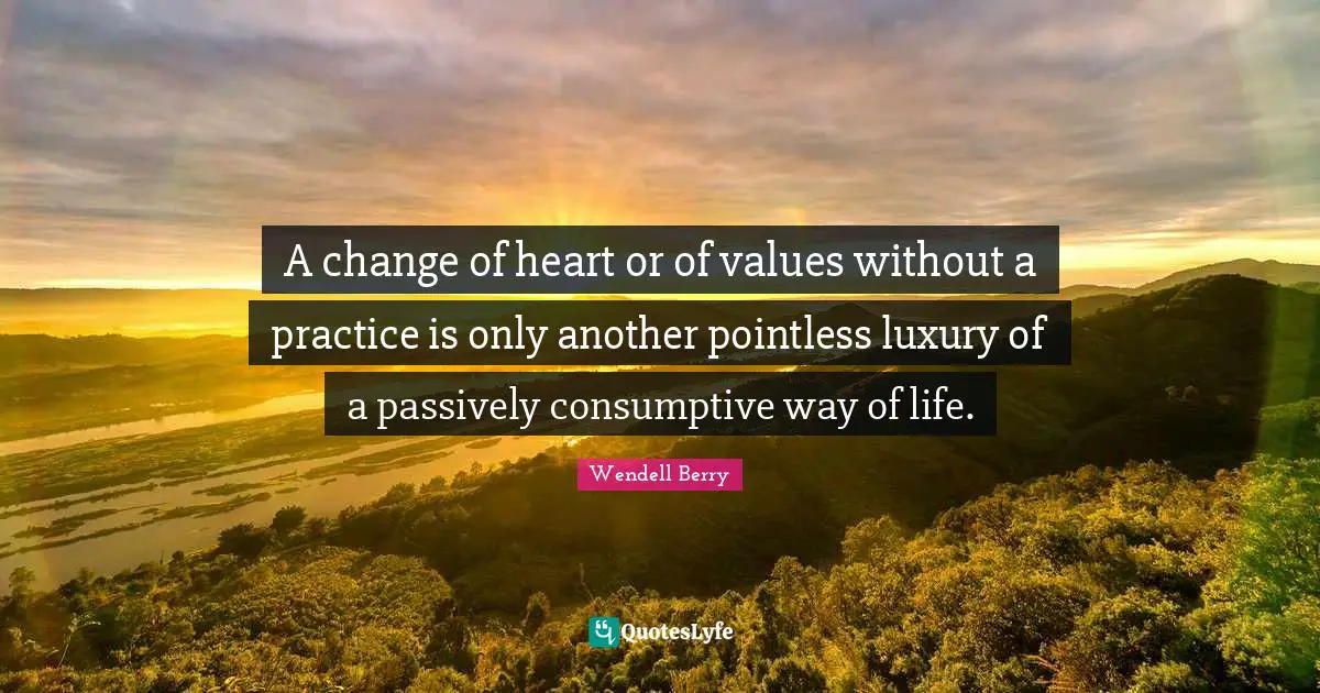 A change of heart or of values without a practice is only another pointless luxury of a passively consumptive way of life.