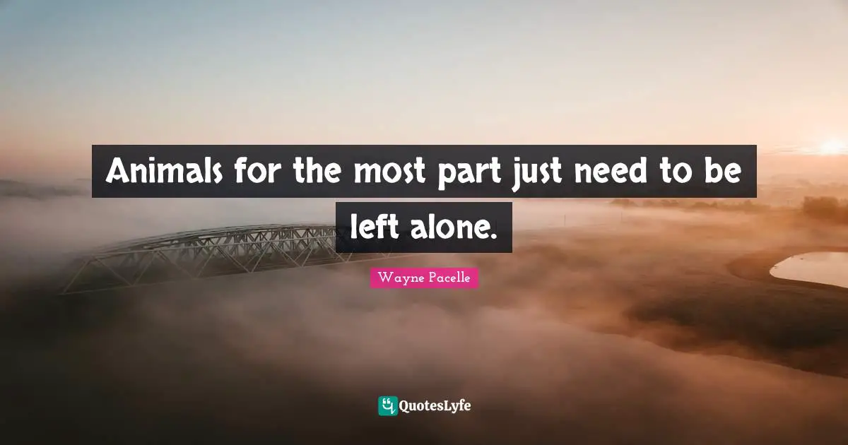 Animals for the most part just need to be left alone.