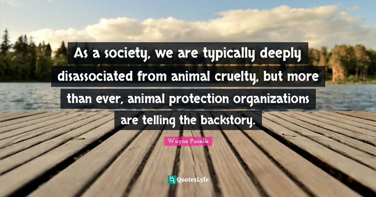 As a society, we are typically deeply disassociated from animal cruelty, but more than ever, animal protection organizations are telling the backstory.