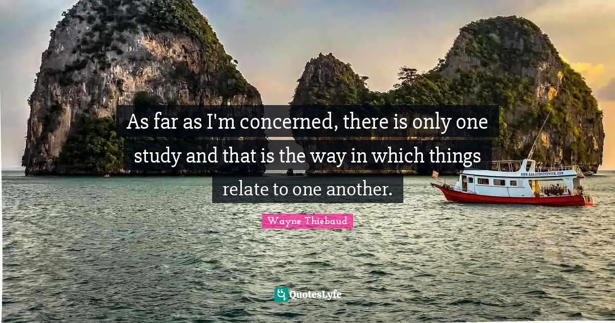 As far as I'm concerned, there is only one study and that is the way in which things relate to one another.
