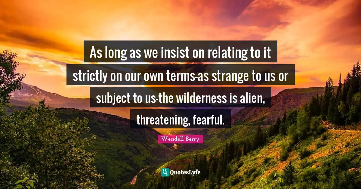 As long as we insist on relating to it strictly on our own terms-as strange to us or subject to us-the wilderness is alien, threatening, fearful.