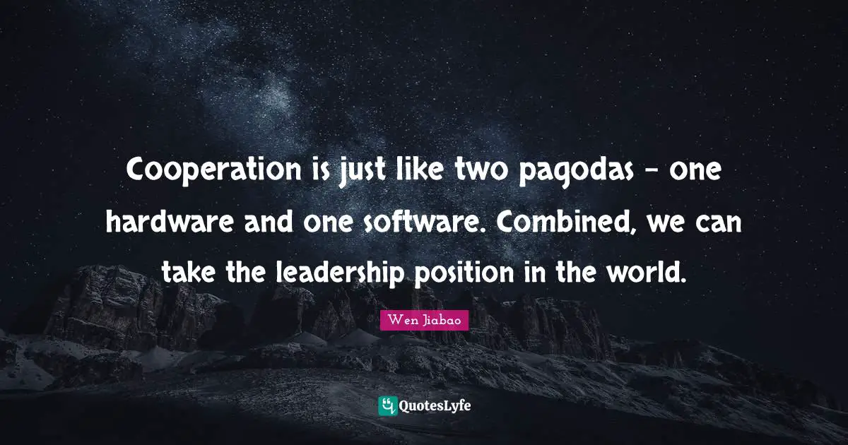 Cooperation is just like two pagodas - one hardware and one software. Combined, we can take the leadership position in the world.