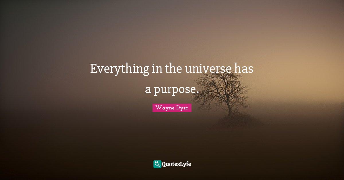Everything in the universe has a purpose.