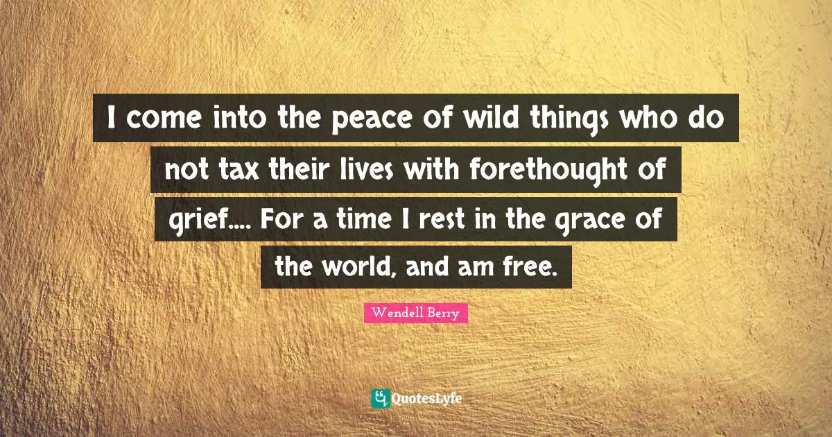 I come into the peace of wild things who do not tax their lives with forethought of grief.... For a time I rest in the grace of the world, and am free.