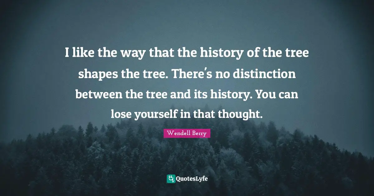 I like the way that the history of the tree shapes the tree. There's no distinction between the tree and its history. You can lose yourself in that thought.