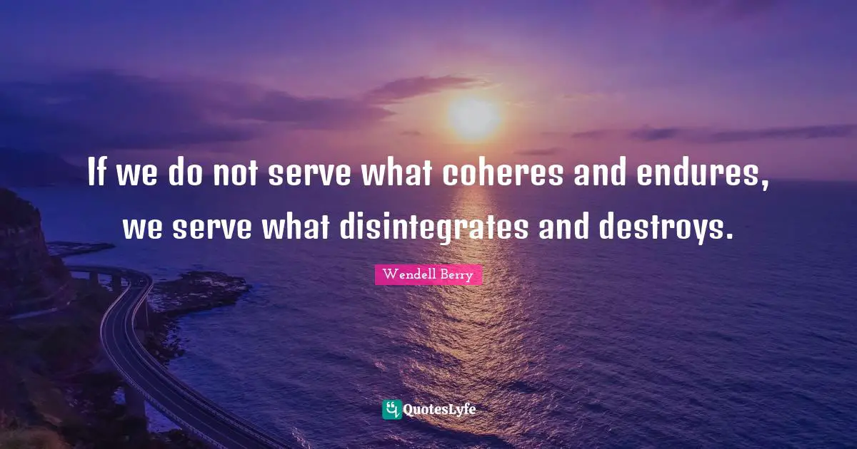If we do not serve what coheres and endures, we serve what disintegrates and destroys.