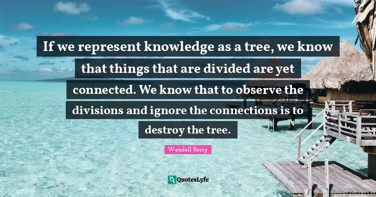 If we represent knowledge as a tree, we know that things that are divided are yet connected. We know that to observe the divisions and ignore the connections is to destroy the tree.