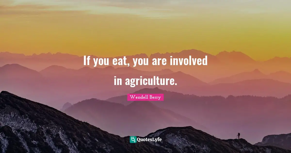 Wendell Berry Quotes: "If you eat, you are involved in agriculture."