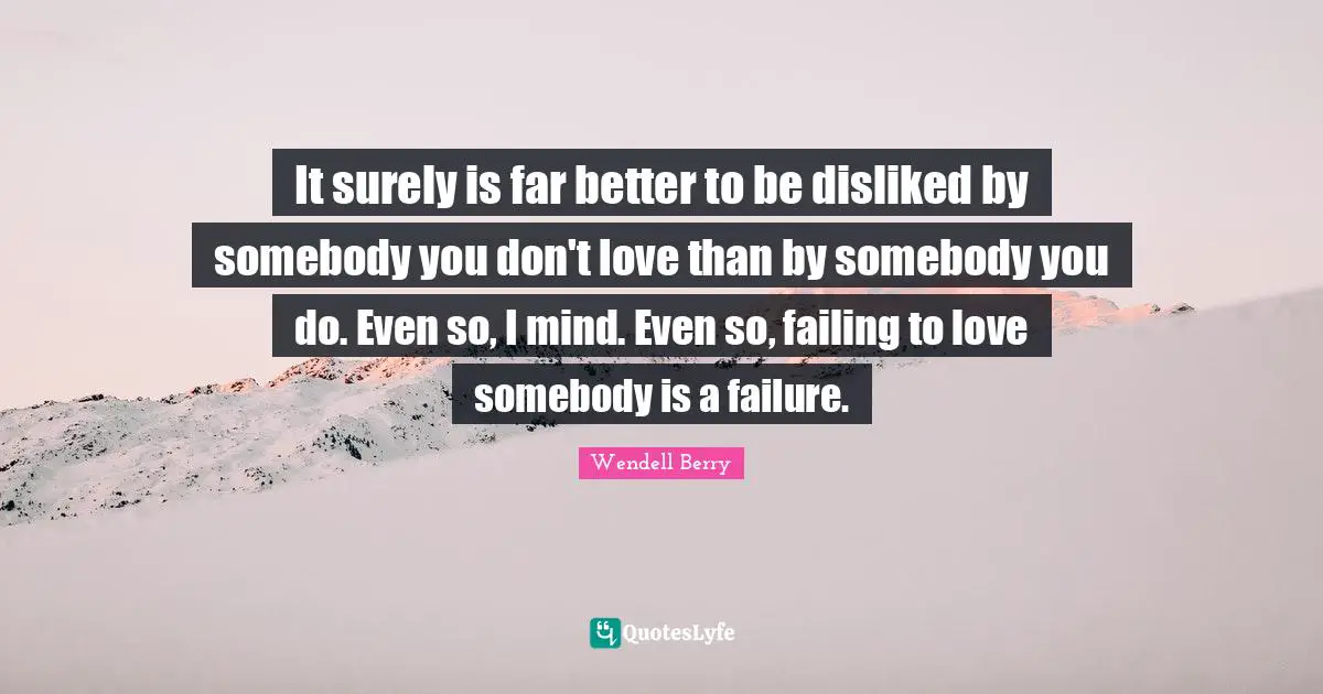 It surely is far better to be disliked by somebody you don't love than by somebody you do. Even so, I mind. Even so, failing to love somebody is a failure.